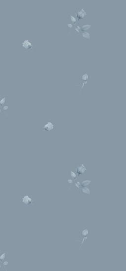 Наволочка 2559 сатин - фото 1